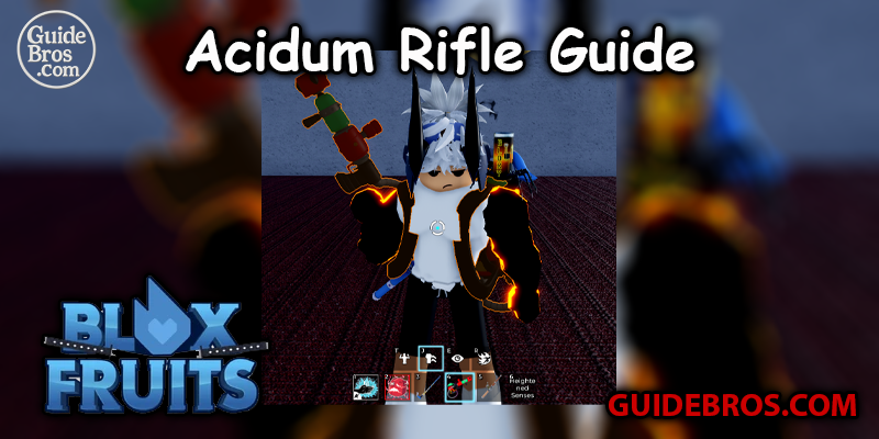 Acidum Rifle Guide - Blox Fruits