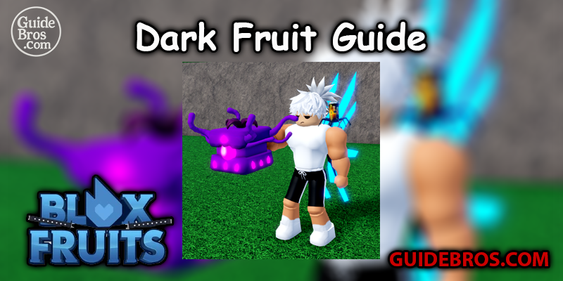 Dark Fruit Blox Fruits Guide