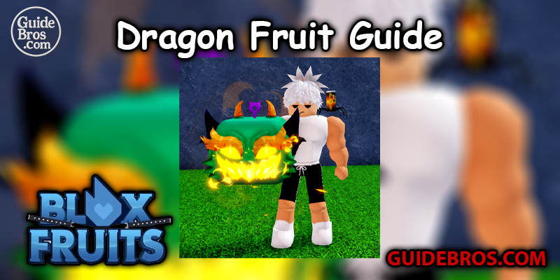 Dragon Fruit Guide - Blox Fruits