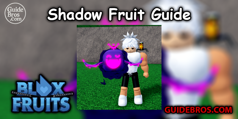 Shadow Fruit Guide - Blox Fruits