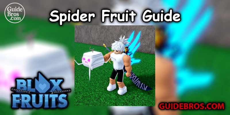 Spider Fruit Guide for Blox Fruits