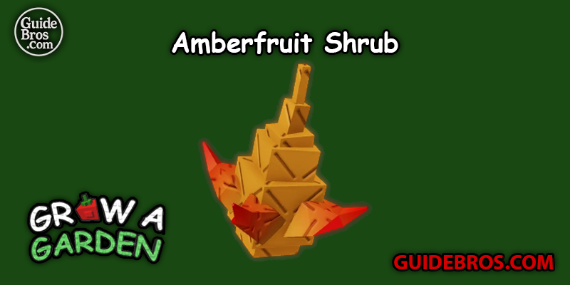 Amberfruit Shrub Seed Guide - Grow a Garden