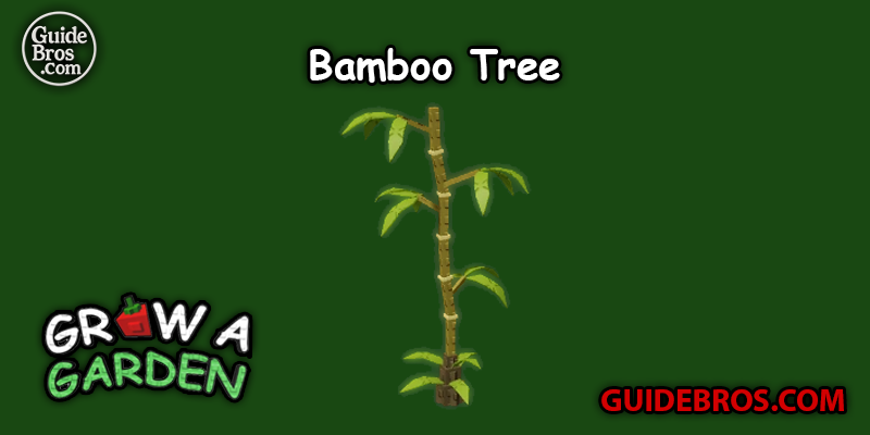 Bamboo Tree Seed Guide – Grow a Garden