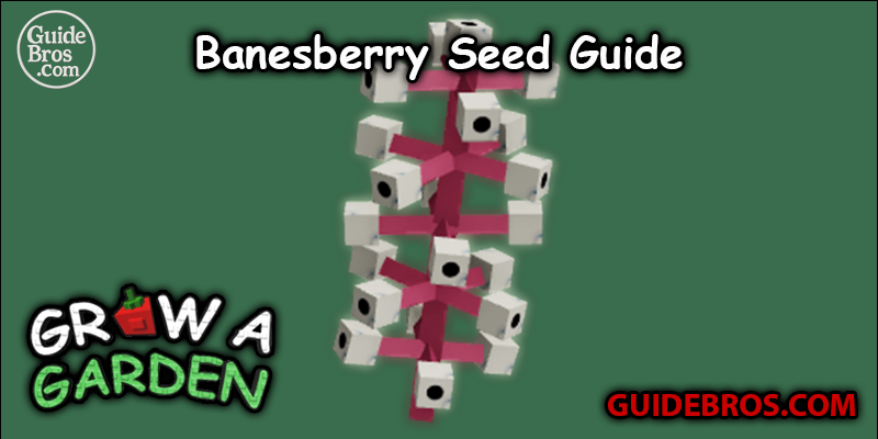 Banesberry Seed Guide - Grow a Garden