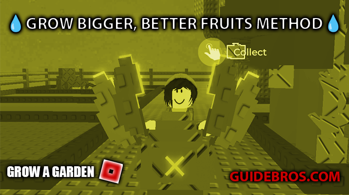 Best Sprinkler Strategy for Bigger Fruits