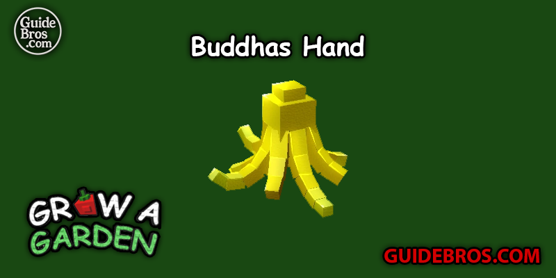 Buddhas Hand Seed Guide - Grow a Garden