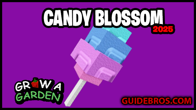 Candy Blossom – Divine Fruit Guide