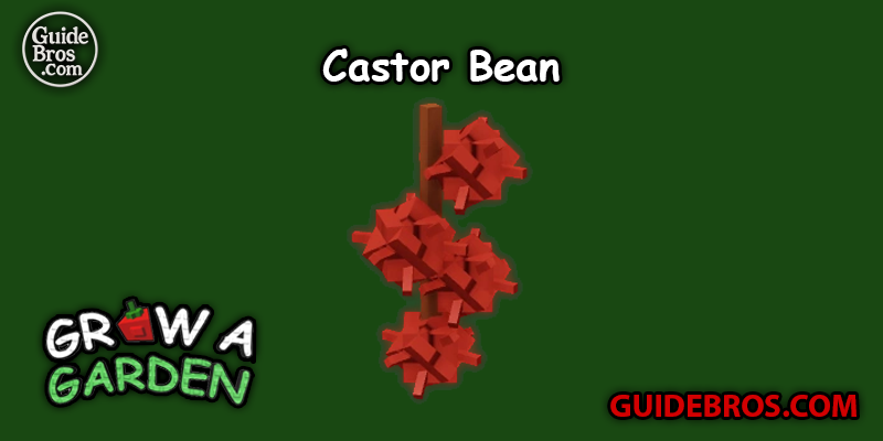 Castor Bean Seed Guide - Grow a Garden