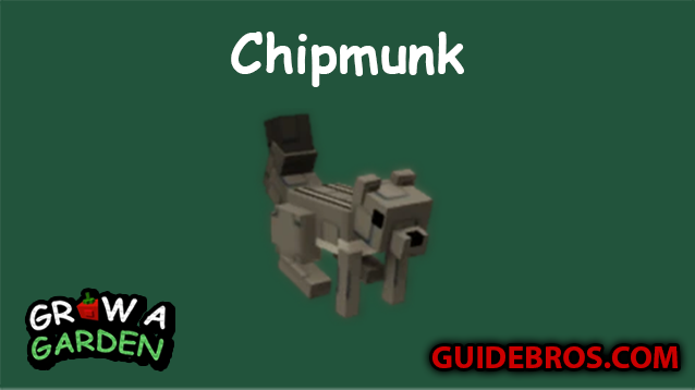 Chipmunk Pet Guide in Roblox Grow a Garden