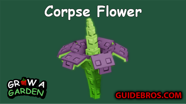 Corpse Flower Seed Guide in Roblox Grow a Garden