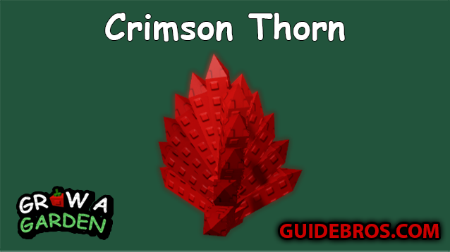 Crimson Thorn Seed Guide in Roblox Grow a Garden