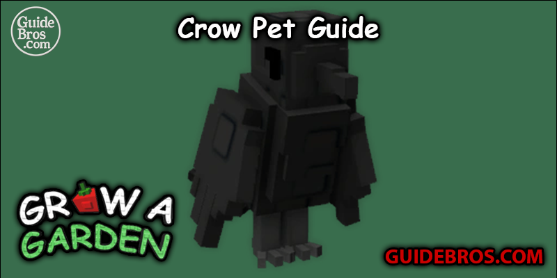 Crow Pet Guide - Grow a Garden