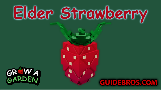 Elder Strawberry Seed Guide – Grow a Garden