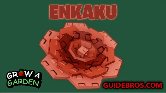 Enkaku Seed Guide – Grow A Garden