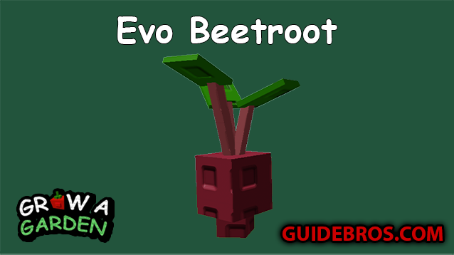 Evo Beetroot Seed Guide in Roblox Grow a Garden