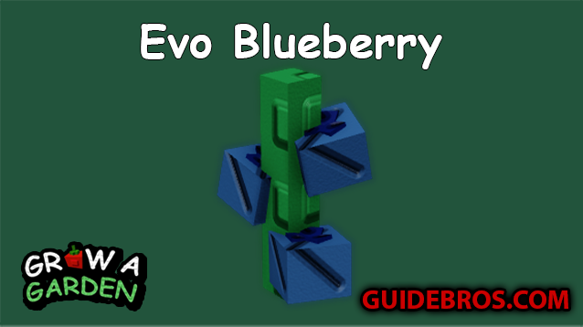 Evo Blueberry Seed Guide in Roblox Grow a Garden