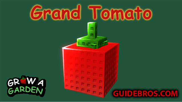 Grand Tomato Seed Guide - Grow a Garden