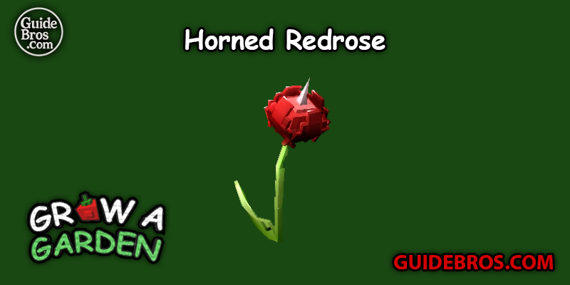 Horned Redrose Seed Guide - Grow a Garden