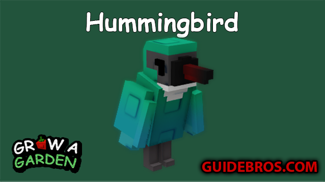 Hummingbird Pet Guide in Roblox Grow a Garden