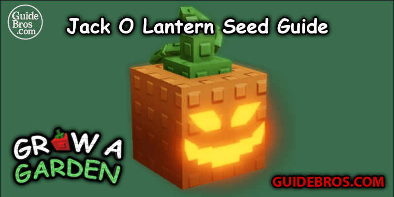 Jack O’ Lantern Grow a Garden Guide