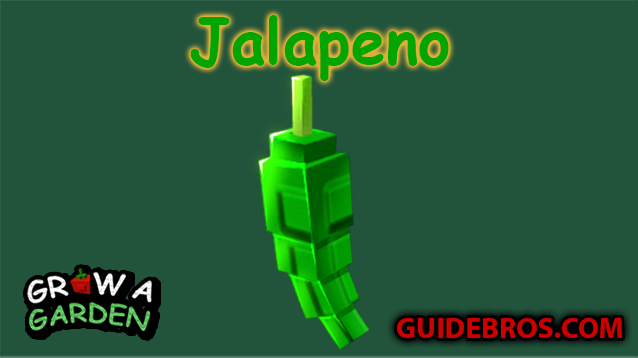 Jalapeño Seed Guide - Grow a Garden