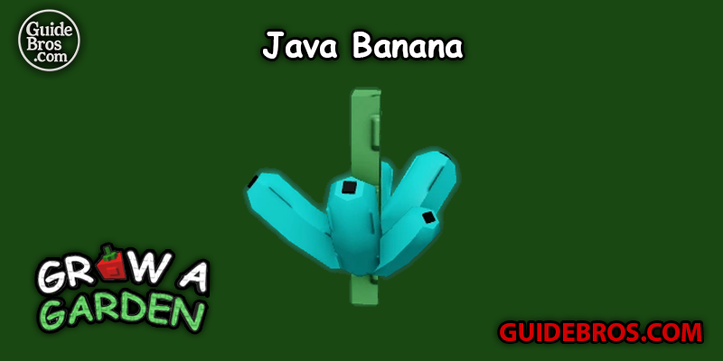 Java Banana Seed Guide – Grow a Garden