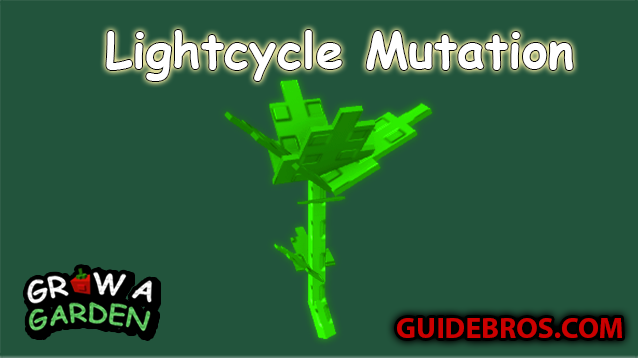 Lightcycle Mutation Guide - Grow a Garden