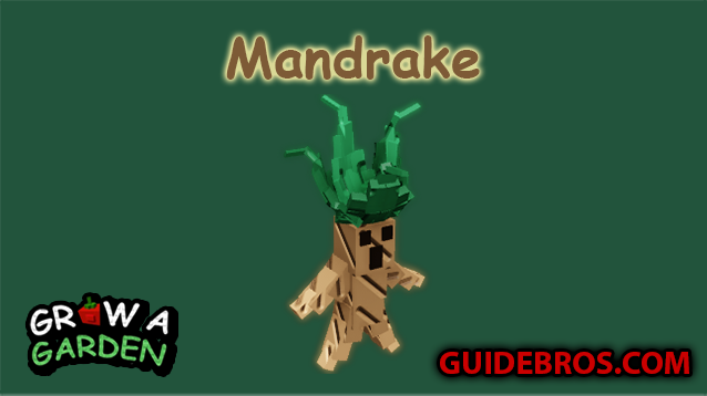 Mandrake Pet Guide - Grow a Garden