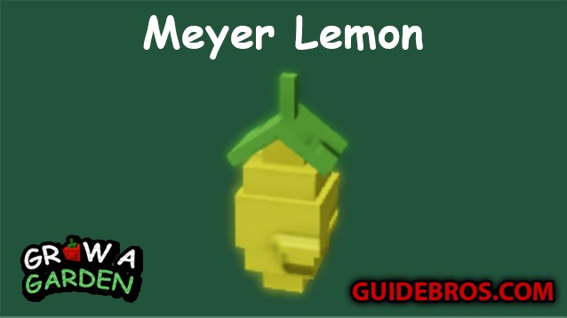 Meyer Lemon Seed Guide in Grow a Garden