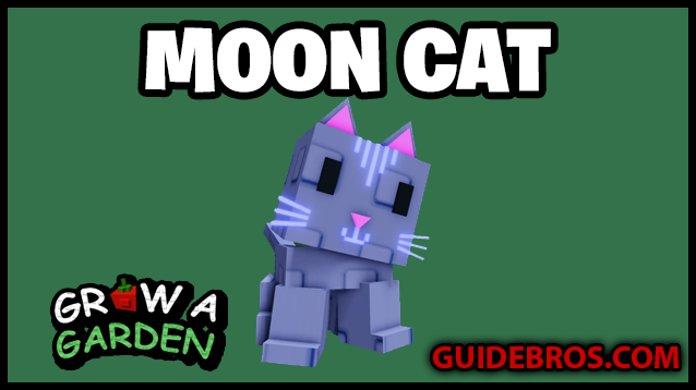 Moon Cat – Legendary Pet Guide