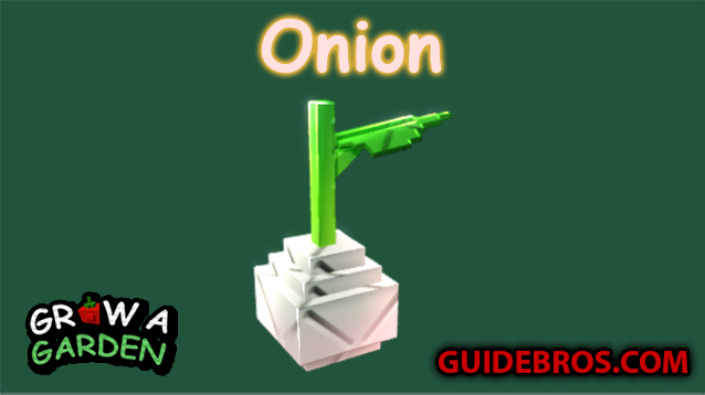 Onion Seed Guide - Grow a Garden