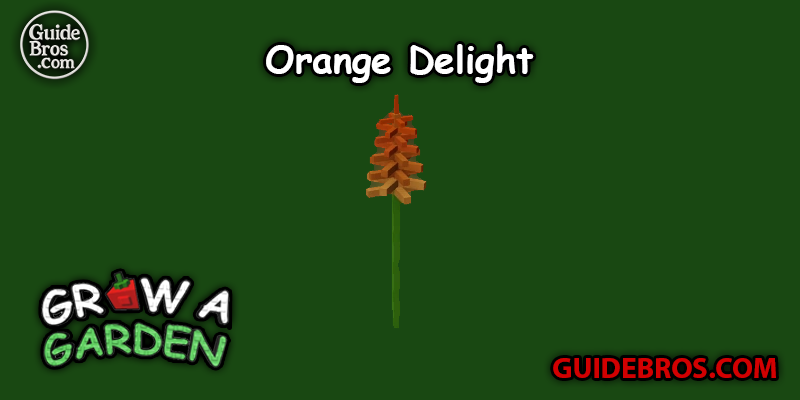 Orange Delight Seed Guide - Grow a Garden