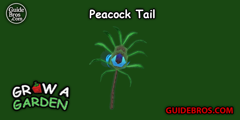 Peacock Tail Seed Guide - Grow a Garden
