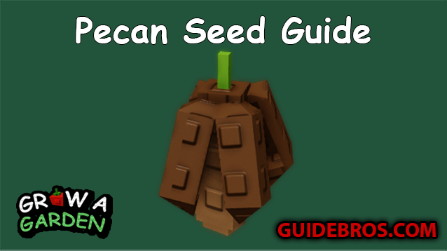 Pecan Seed Guide - Grow a Garden