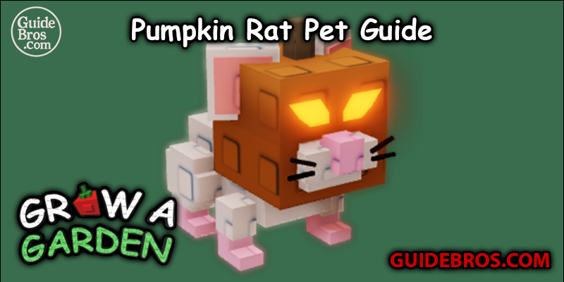 Pumpkin Rat Pet Guide - Grow a Garden