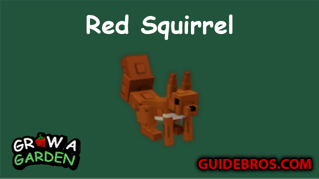 Red Squirrel Pet Guide in Roblox Grow a Garden