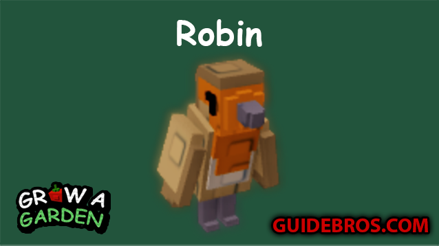 Robin Pet Guide in Grow a Garden