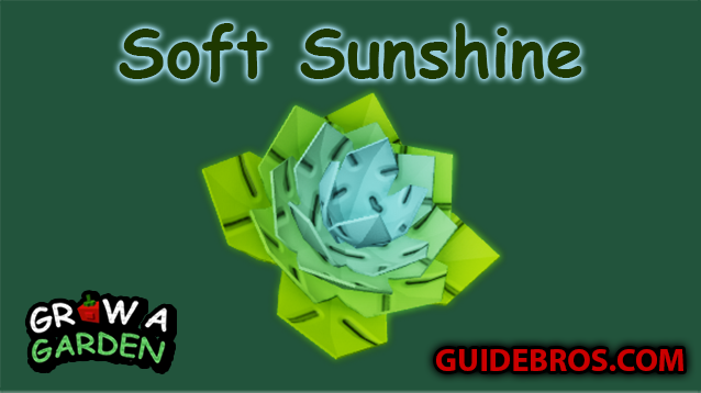 Soft Sunshine Seed - Grow a Garden