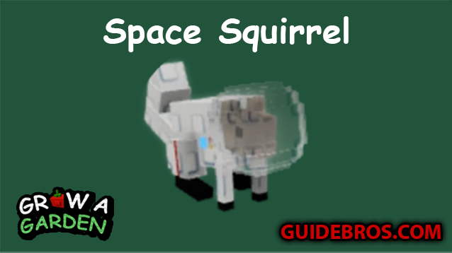 Space Squirrel Pet Guide in Grow a Garden