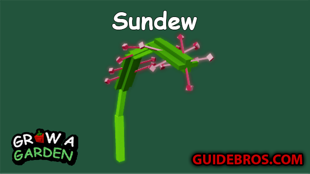Sundew Seed Guide in Roblox Grow a Garden