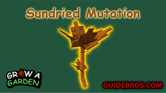 Sundried Mutation Guide - Grow a Garden