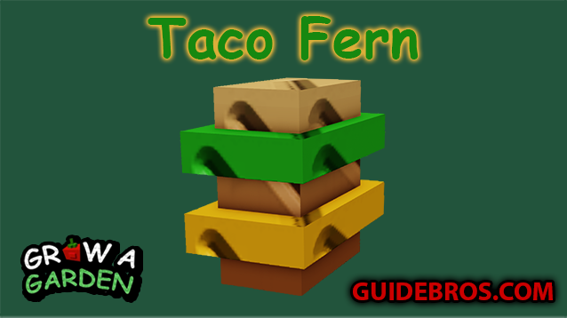 Taco Fern Seed Guide - Grow a Garden