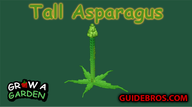 Tall Asparagus Seed Guide - Grow a Garden
