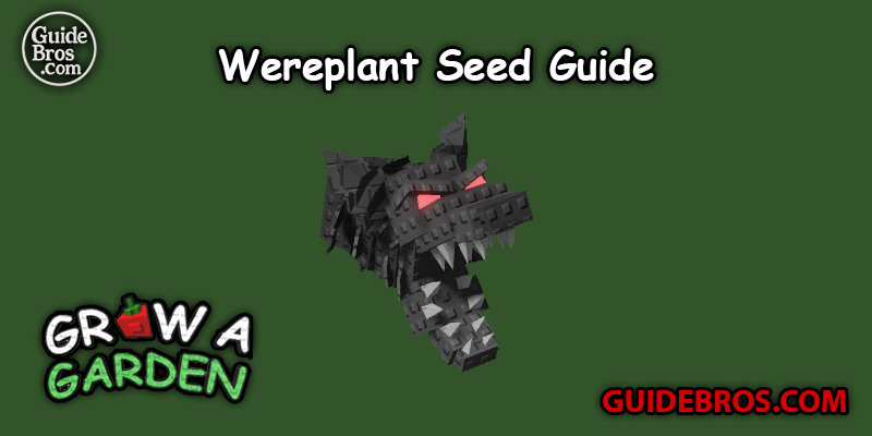 Wereplant Guide in Grow a Garden (Divine Halloween Crop)