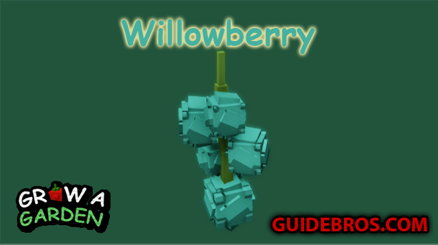 Willowberry Seed Guide - Grow a Garden