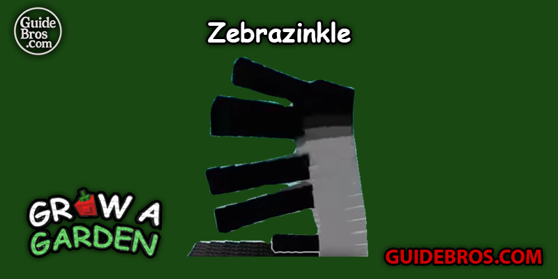 Zebrazinkle Seed Guide - Grow a Garden