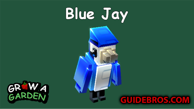 Blue Jay (Free Track) Pet Guide in Grow a Garden