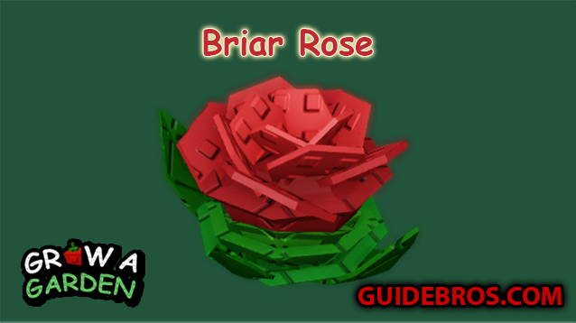 Briar Rose Crop Guide 🌹 | Grow a Garden Roblox