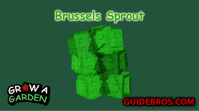 🥦 Brussels Sprout Guide – Grow a Garden (Roblox)