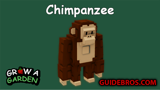 Chimpanzee Pet Guide in Grow a Garden